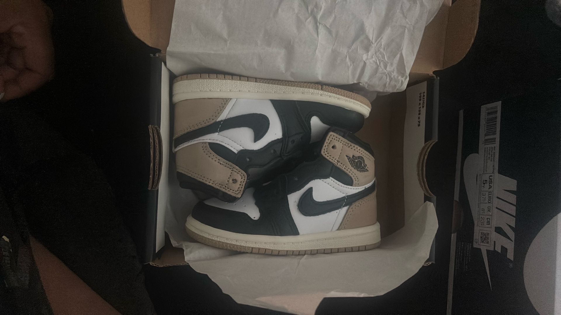Jordan 1 Retro High OG (TD)