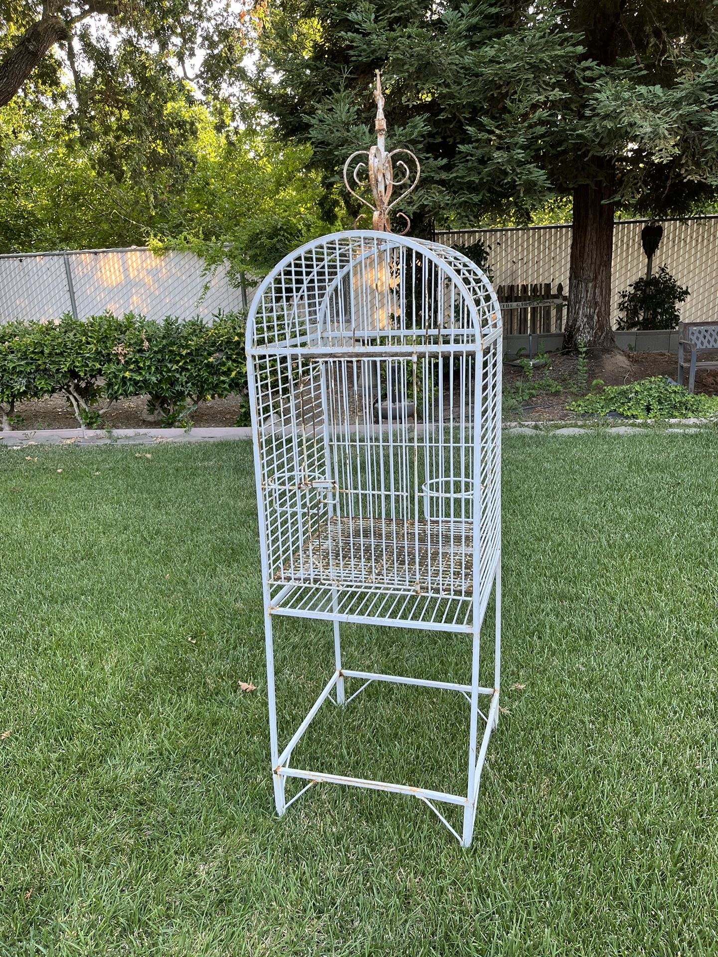 Ornamental Iron Bird Cage