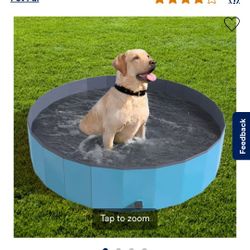 Pet Pal Folding Pet Pool 