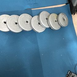 VINYL STANDARD 1-INCH WEIGHT PLATES—100 Lbs Total