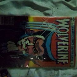 Wolverine #1 In Plastic 