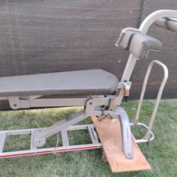 Freemotion Epic Ab Bench Commercial Gym Quality 
