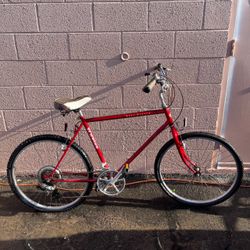Vintage Schwinn Mesa Runner Bicycle