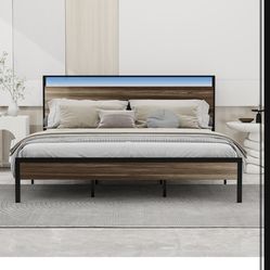 King Bed Frame - 3 Months Old