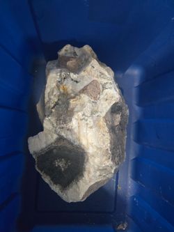 Space Rock i think it needs tlc