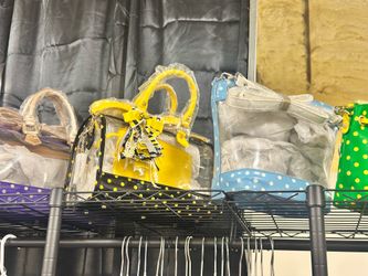 Clear game day bags