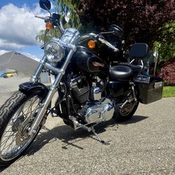 2008 Harley Davidson 1200XL Custom