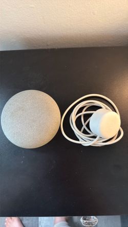 Google Home Mini 1st Gen