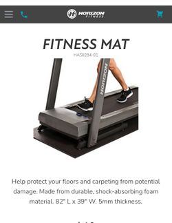 Horizon Fitness mat