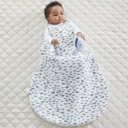 Pottery Barn Sleepsack