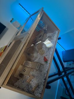 Hamster habitat