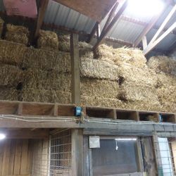 Straw 