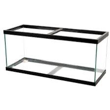 75 Gallon Fish Tank And Stand