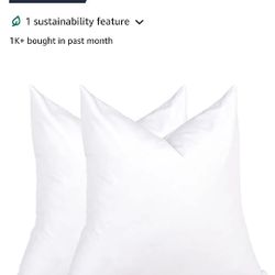 Pillow Inserts