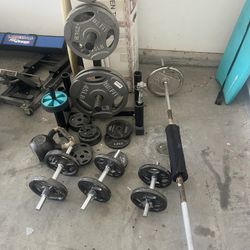 Weights and Bench 