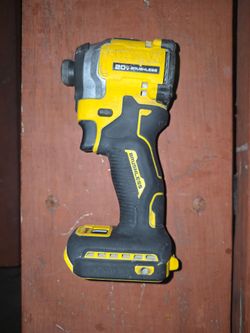 Dewalt 20 v max