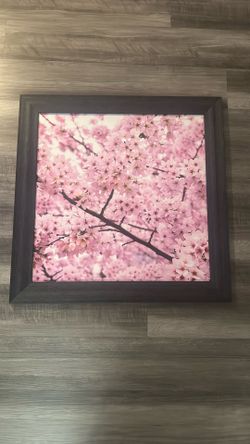Cherry Blossom Canvas Frame