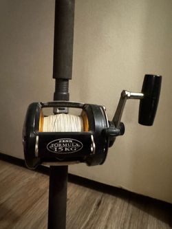 PENN Formula 15KG 2-Speed Reel + Fenwick Fenglass Rod