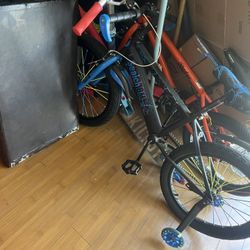 20 Inch Bike with training wheels