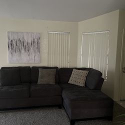 Grey Sectional Couch