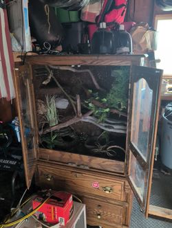 Snake/ Reptile Enclosure