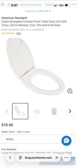 Toilet seat