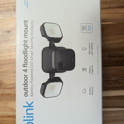 Blink 4 Flood Light 