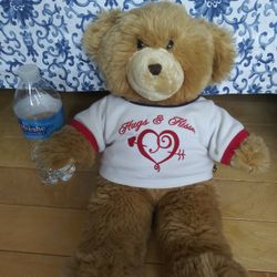 Teddy Bear With Voice Says (I Love You)