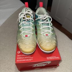 Nike Vapor Max Plus 