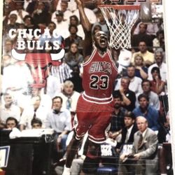 “END OF SUMMER SALE” Vintage, Ultra Rare, Michael Jordan Chicago Bulls Poster 1995 STARLINE 90's