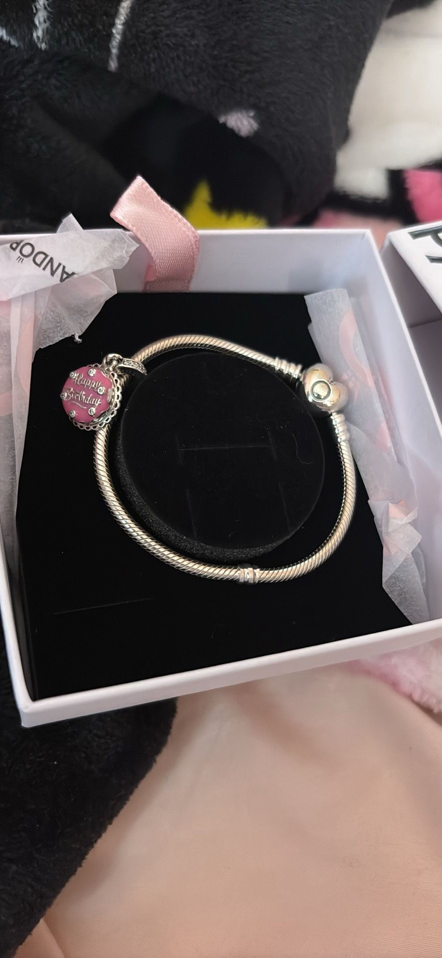 Pandora Charm Bracelet