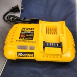 BRAND NEW DEWALT 20V MAX LITHIUM-ION 8AMP FAST CHARGER 