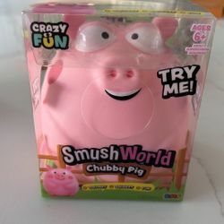 Squishy Pig