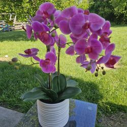 $35.00 - Large Faux Orchid/Ceramic Pot - PICKUP THIS SATURDAY AT THE WOODLANDS IN MORROW COMMUNITY GARAGE SALE!!
