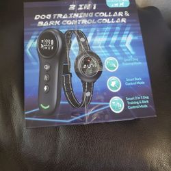 Dog Staff 