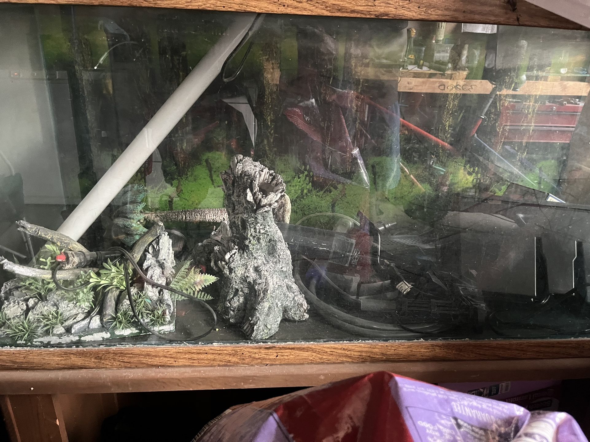 75 Gallon Fish Tank