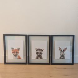 Set of Three Framed Animal Prints for Nursery or Kids Room