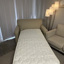Loveseat Pull-Out Sofa Bed