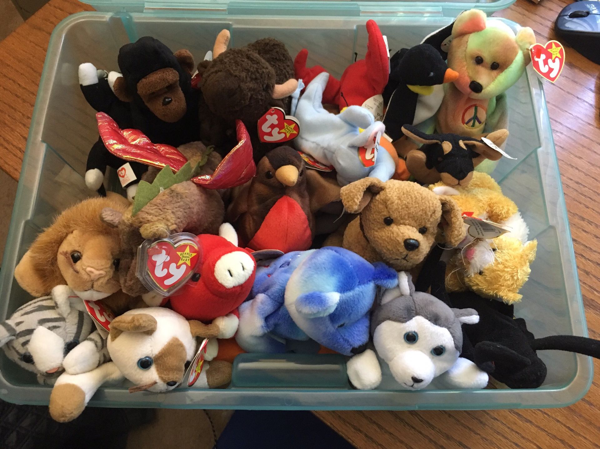TY Beanie Baby Collection - Retired
