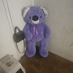 Bear From The Fair