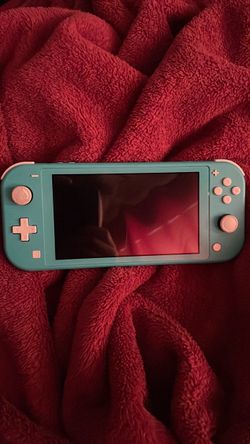 Nintendo switch lite