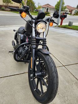 Sporster 883 IRON