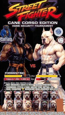 Street fighter Guardian Breed Poster
