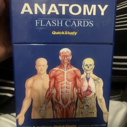 Anatomy Flash Cards 