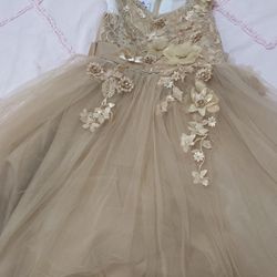 Girl Dress Size 10-12