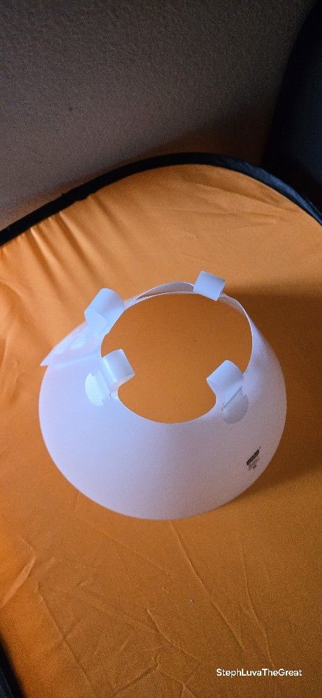 Dog Recovery Collar