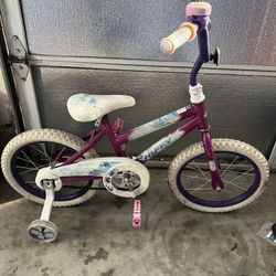 Girls Bicycle 