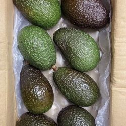 Avocados 