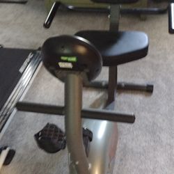 Recumbent Bike