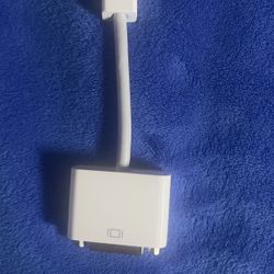 The Apple Mini DVI to DVI Adapter